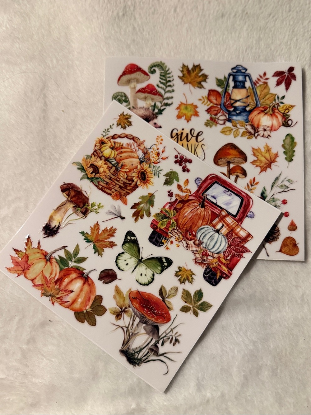 Autumn Harvest Pumpkin & Foliage Rub on Transfers
